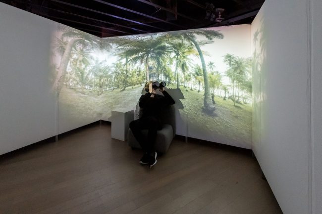 Searching for ‘ō’ō