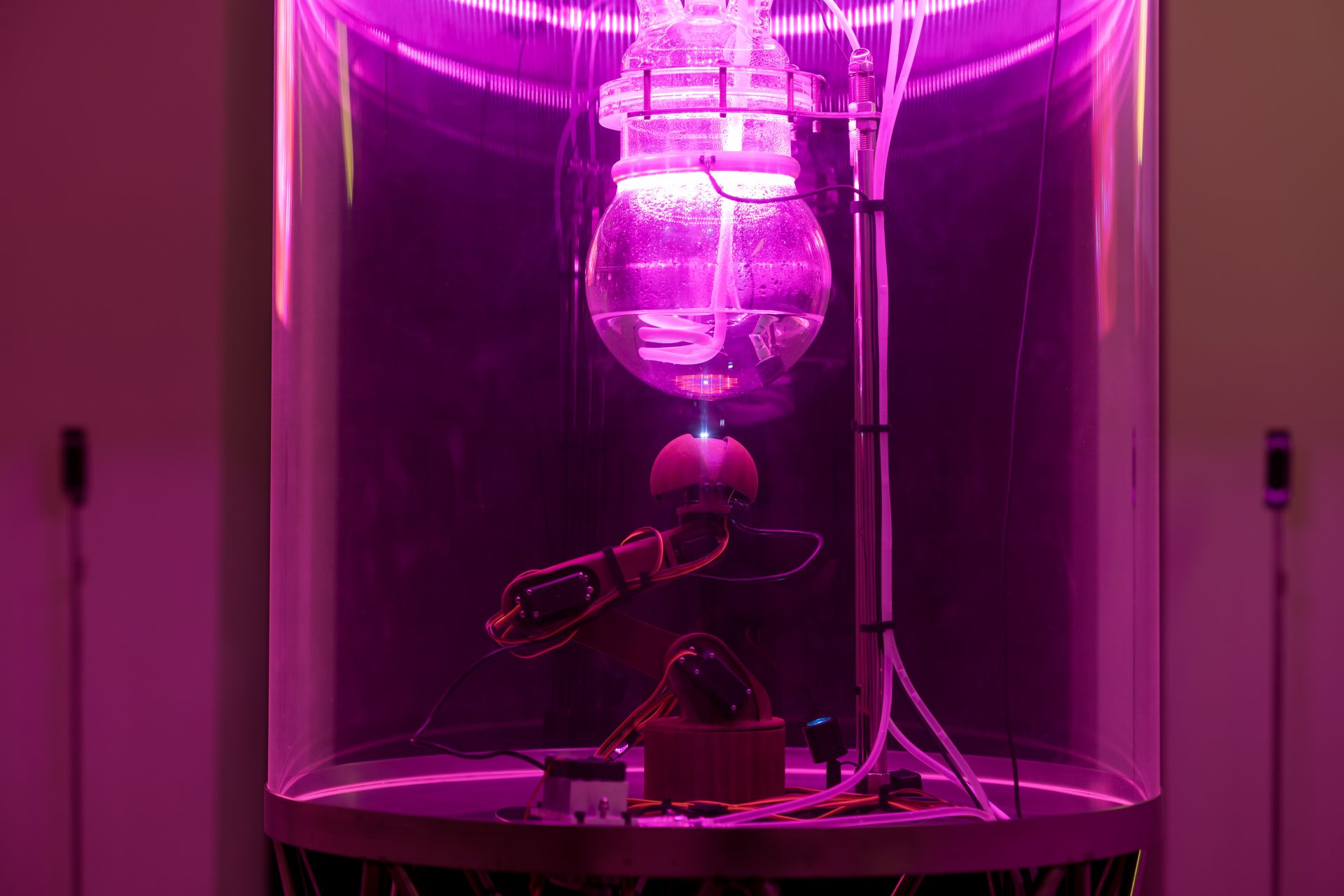 057__T1A7040_Photo_Miha_Godec