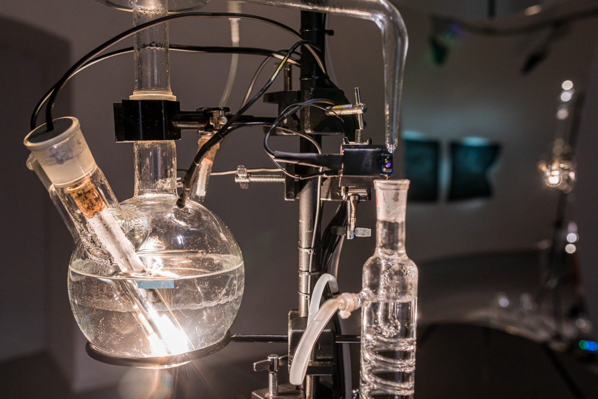 012__T1A6141-HDR_Photo_Miha_Godec