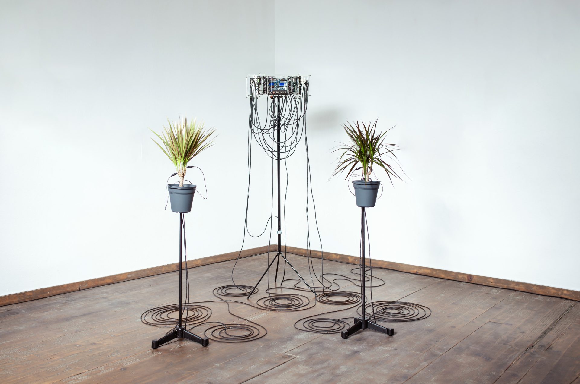 GMH_APR2024__photo_UrskaPecnik