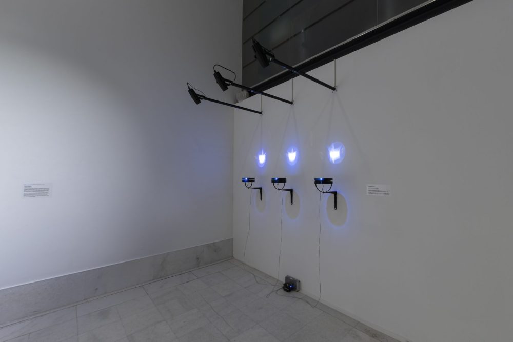 Laniatus and Watergrams by Miha Godec