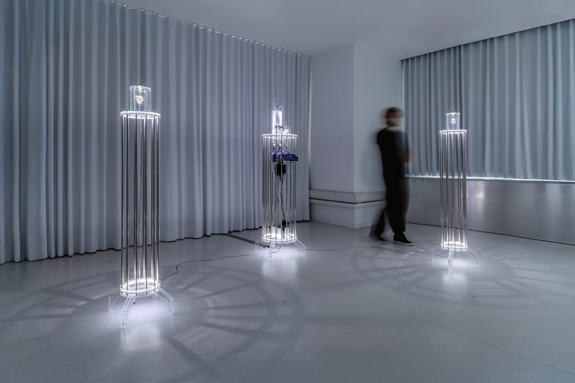 Dark Oxygen: Malum Prohibitum