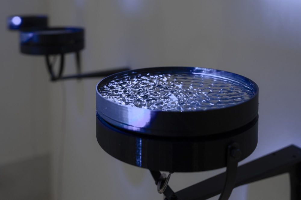 Laniatus and Watergrams by Miha Godec