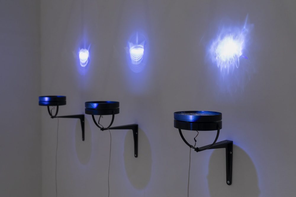 Laniatus and Watergrams by Miha Godec