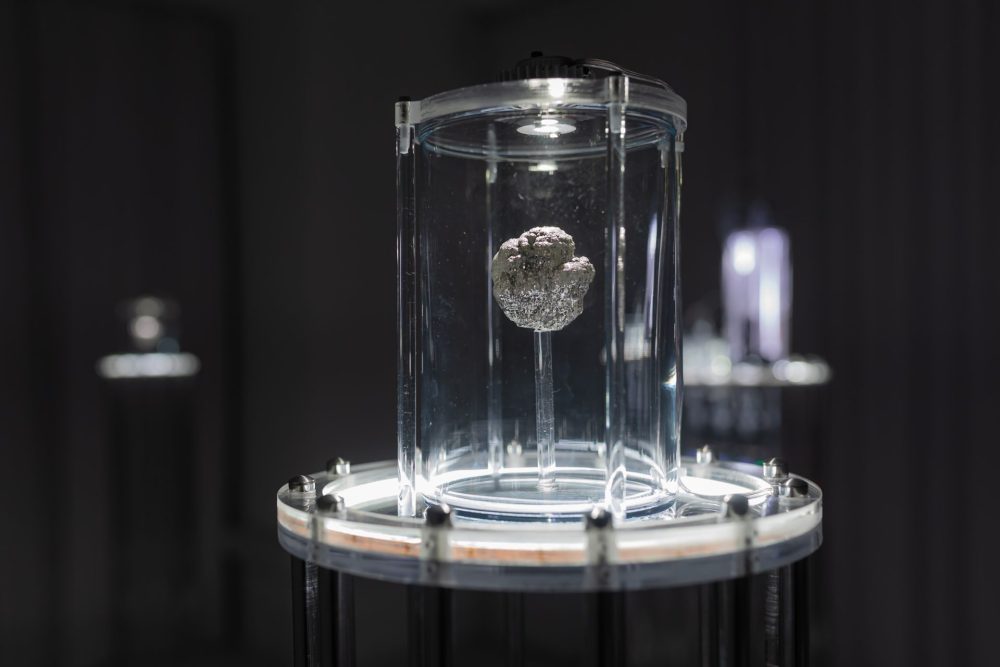 Dark Oxygen: Malum Prohibitum by Miha Godec