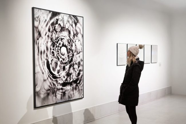 Laniatus and Watergrams by Miha Godec