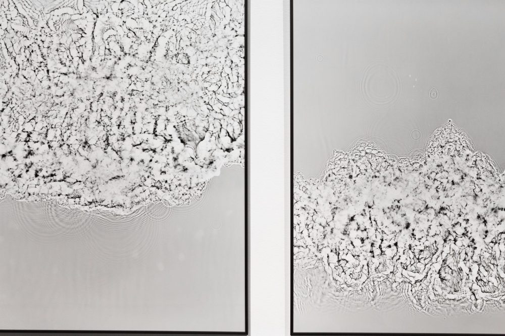 Laniatus and Watergrams by Miha Godec